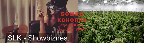 индика Баксан