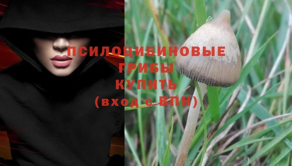 ешки Новокубанск