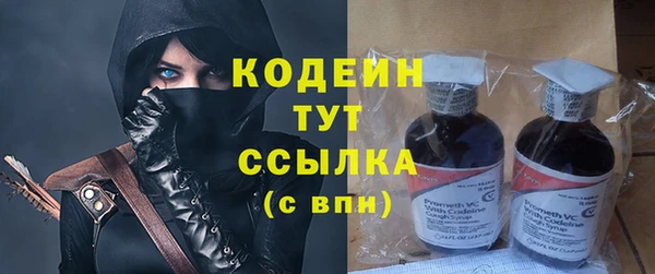 индика Баксан