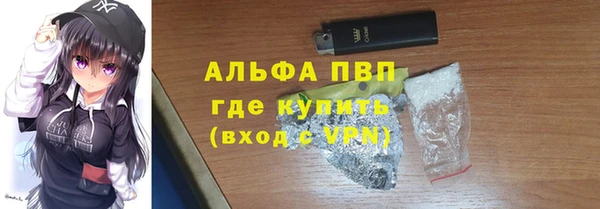 индика Баксан