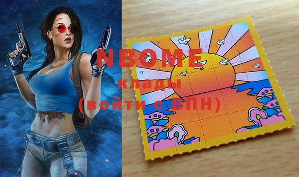 стаф Белокуриха