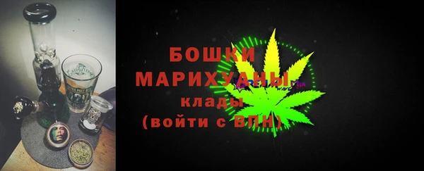 спиды Новозыбков