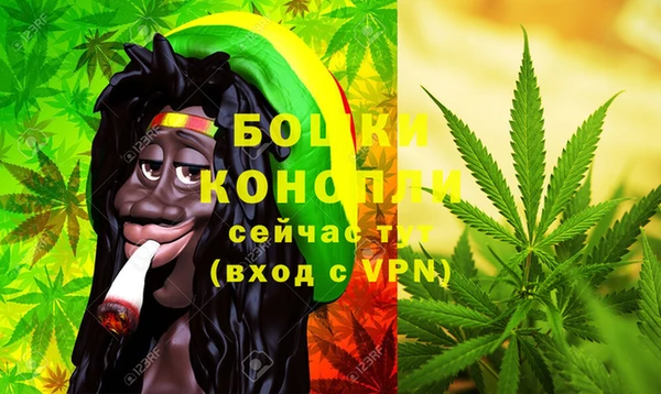 индика Балабаново