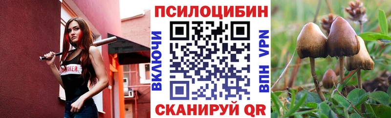 цены наркотик  Калуга  Галлюциногенные грибы Cubensis 