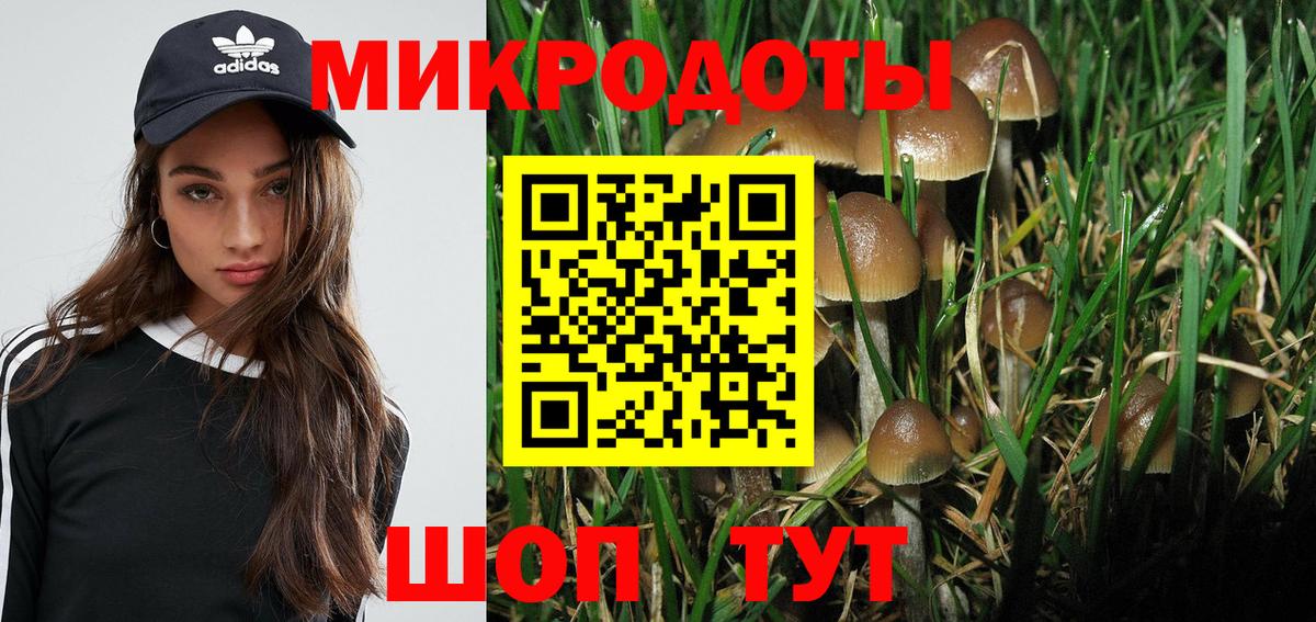 Галлюциногенные грибы Psilocybine cubensis  Вход с VPN  Калуга 